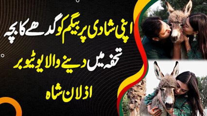 Download Video: Wife Ko Shadi Par Gadhe Ka Bacha Gift Karne Wala Azlan Shah Youtuber