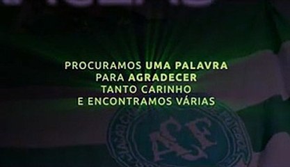 Procuramos uma palavra para agradecer tanto carinho e encontramos várias