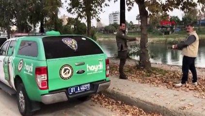 Tutsak tutulan saka kuşları özgürlüklerine kavuştu