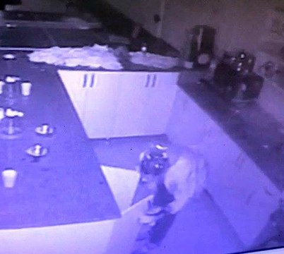 Kamerayı fark eden hırsız yüzünü şeffaf poşetle gizlemeye çalıştı