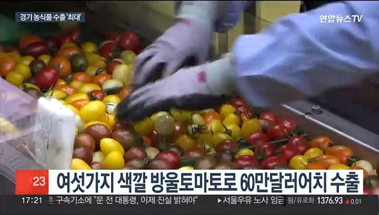 경기도 농식품 수출 사상 최대…코로나 속 '성과'