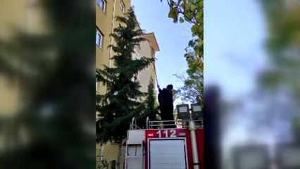 Ağaçta mahsur kalan kediyi itfaiye kurtardı