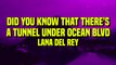 Lana Del Rey - Did you know that there's a tunnel under Ocean Blvd (Lyrics)