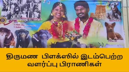மதுரை:திருமண வரவேற்பு பிளக்ஸில் வளர்ப்பு பிராணிகள்!