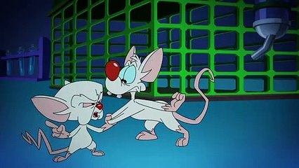 Animaniacs (2020) - saison 3 Teaser VO