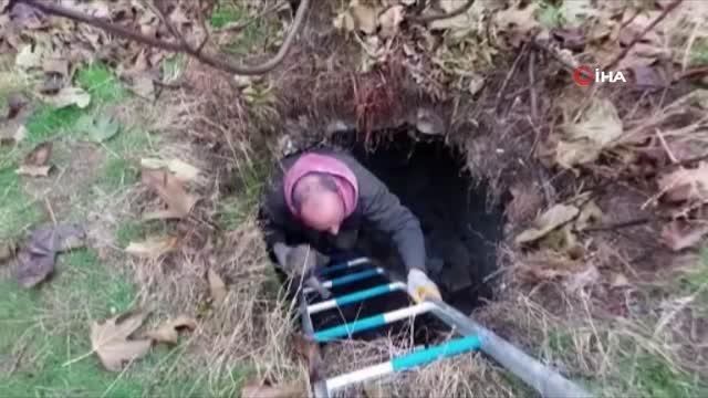 Tarihi hamamda mahsur kalan 5 yavru köpek, belediye ekiplerince kurtarıldı