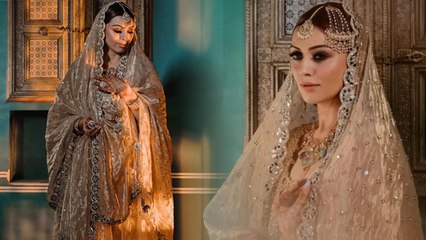 Hanshika Motwani Pre Wedding Sufi Night Sharara की कीमत जानकर उड़ेगे आपके होश ।Boldsky *Entertainment