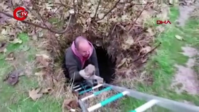 Tarihi hamamda mahsur kalan 5 yavru köpek kurtarıldı