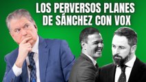 ¿VOX ilegalizado? Xavier Horcajo advierte de los perversos planes de Sánchez