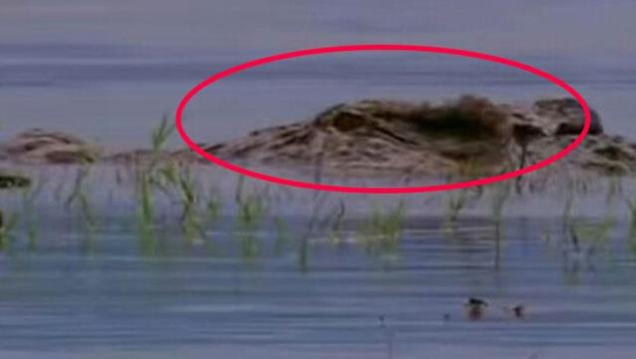 Köyün resmen kabusu oldu! 300 kişiyi yiyen dev canlı 2016'dan beri gizemli şekilde kayıp