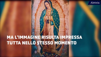 La Vergine di Guadalupe: storia, misteri e curiosità