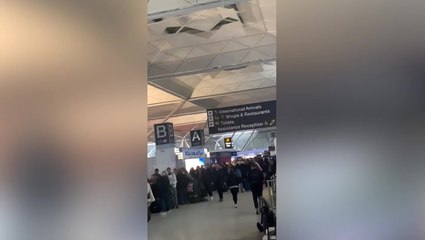 Stranded passengers at Stansted airport form metres-long queue to help desk