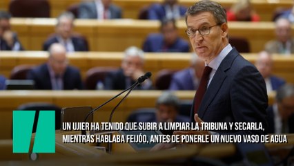 Un ujier ha tenido que subir a limpiar la tribuna y secarla, mientras hablaba Feijóo, antes de ponerle un nuevo vaso de agua