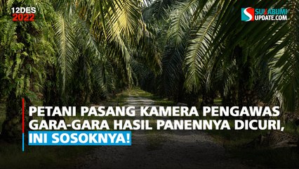 Pasang Kamera Pengawas Gara-Gara Hasil Panennya Dicuri, Ini Sosoknya!