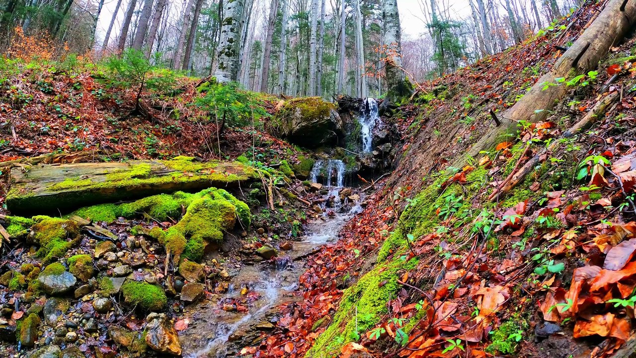 SEA RELAXATION-Soothing Sounds of the Sea WO Music-Calming Ocean Waves-Sound of Wind-Water Sounds 2