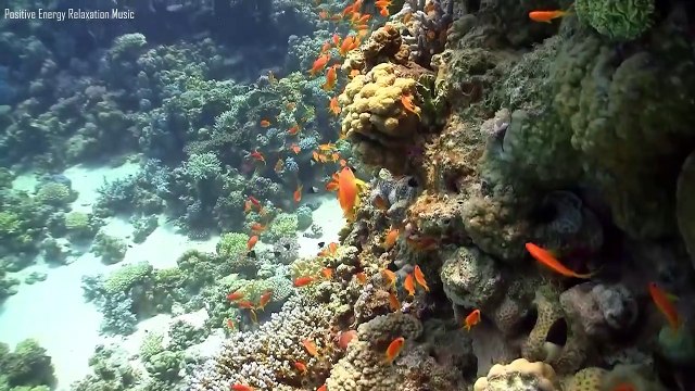 Musique Des Anges Apporte De L'énergie Et Des Pensées Positives • Musique Relaxante Aime La Nature