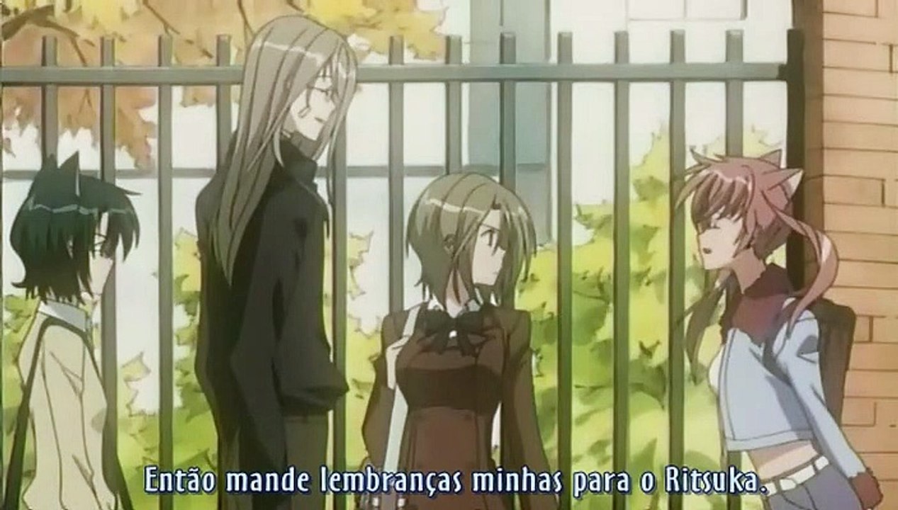 LL 08