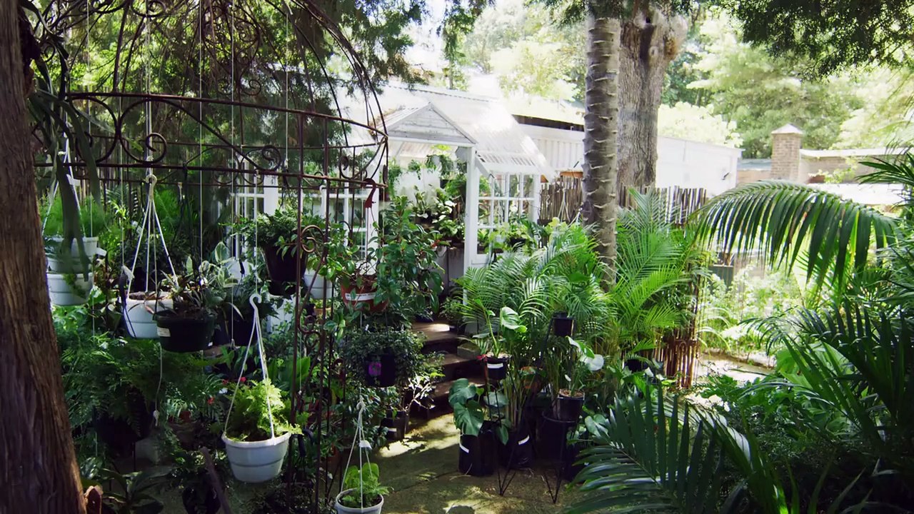 Top Benefits of Installing a Pergola in Your Outdoor Living Space