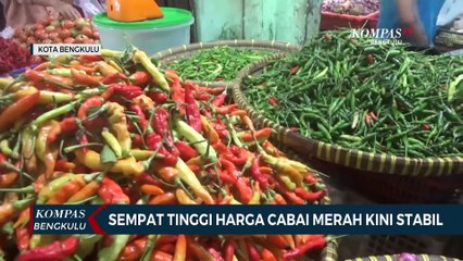 Sempat Tinggi Harga Cabai Merah Kini Stabil