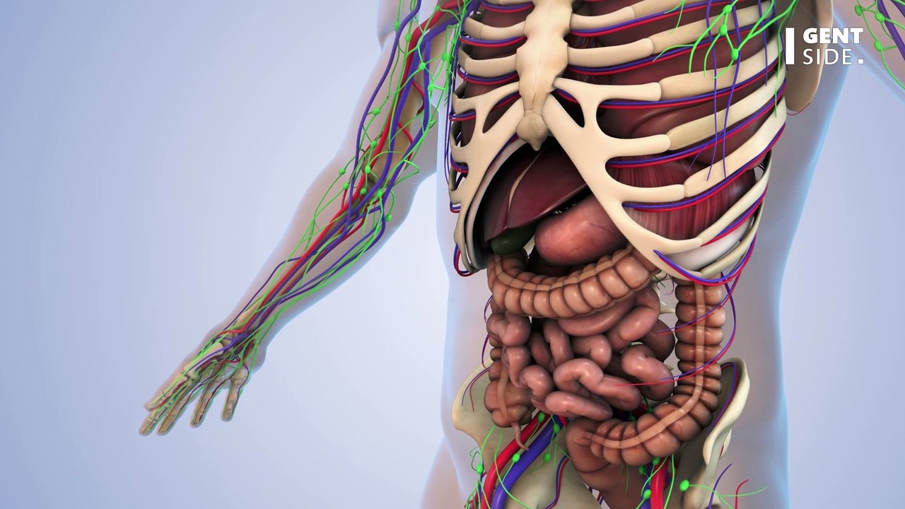 Überraschende Erkenntnis: Der Geschirrspüler kann krank machen