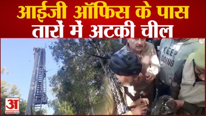 Saharanpur:छापे की कार्रवाई के विरोध में व्यापारियों ने किया नगर विधायक का घेराव