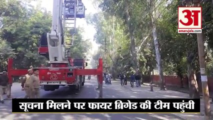 मेरठ आईजी ऑफिस के पास तारों में अटकी चील को उतारते समय पेड़ में फंसी हाइड्रोलिक मशीन