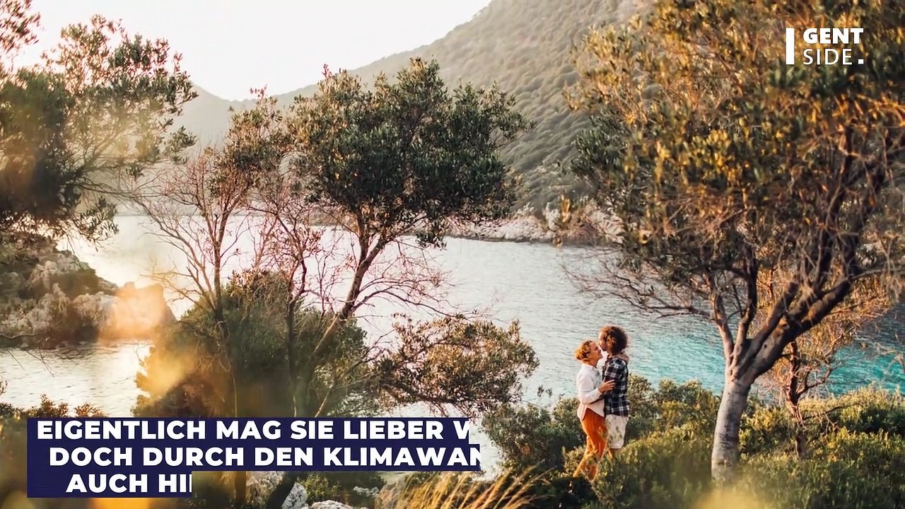 Achtbeiniger Besuch: Neue Spinnenart kommt nach Deutschland