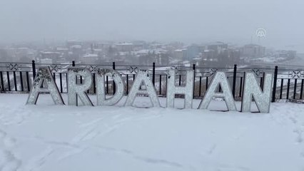 Ardahan'da kar yağışı etkili oldu (2)