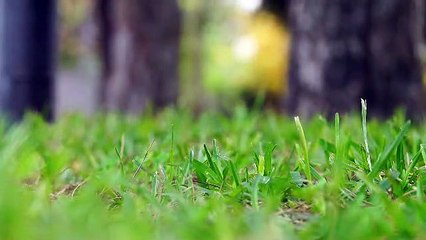 Summer(Presto),Four Seasons,AntonioVivaldi (remix)-Mark Subbotin