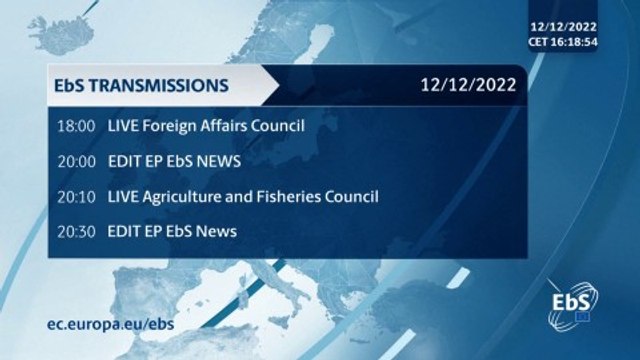 Suivez en direct la session plénière au Parlement européen après les révélations de soupçons de corruption