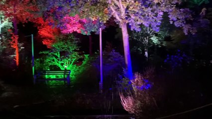 The 2022 Glow trail at RHS Garden Wisley