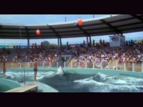 Les super flics de Miami Bande-annonce (EN)