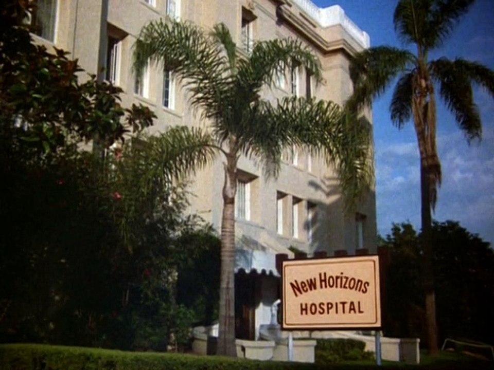 Remington Steele Staffel 3 Folge 2