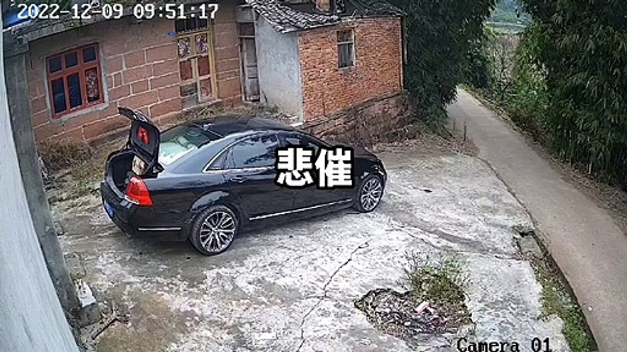 Le frein à main de sa voiture lâche au pire moment... pas de chance