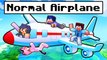 Just a NORMAL Airplane! (NOT NORMAL!)