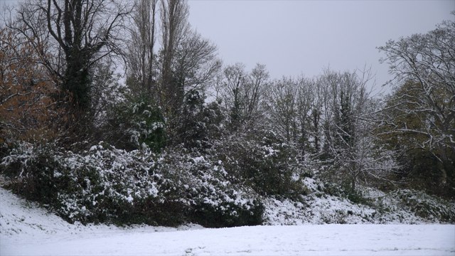 Kent in chaos after snow causes travel disruption