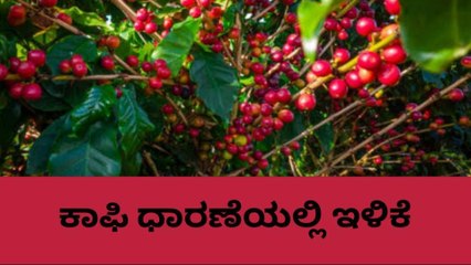 ಕೊಡಗು: ಬೆಳೆಗಾರರಲ್ಲಿ ಆತಂಕಕ್ಕೆ ಕಾರಣವಾಯ್ತು ಕಾಫಿ ರೇಟ್ ಇಳಿಕೆ!