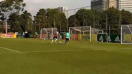 Imagens do treino do Palmeiras