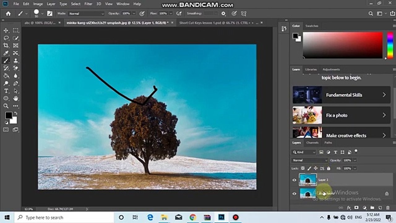 Selection tool and some basic tools in Adobe Photoshop CC 2019 Urdu Hindi Class one_