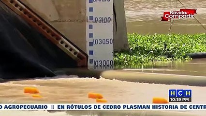 Diversos sectores en contra de que se habiliten sectores de Ciudad Mateo por impacto ambiental