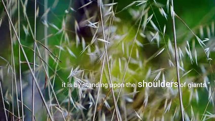 Isaac Newton Quotes: A Collection of Inspirational Words