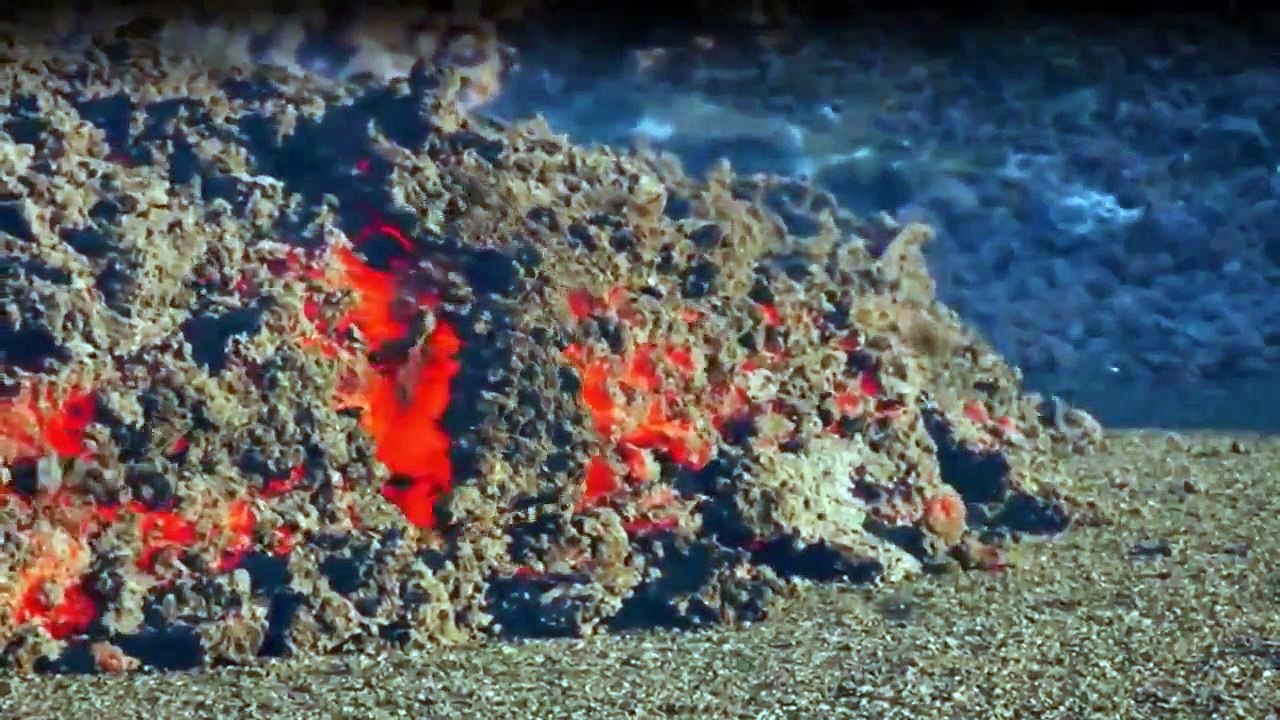 Wilde Arktis Staffel 1 Folge 4 HD Deutsch