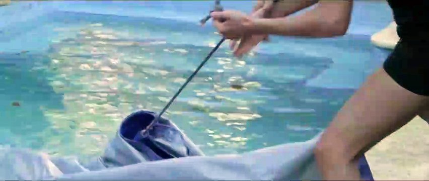 The Memory of Water Bande-annonce (EN)