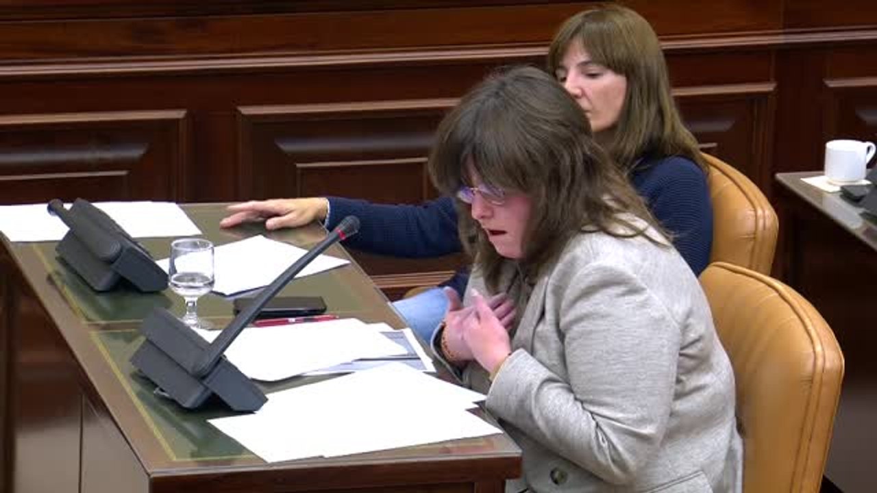 El PSOE no consigue sacar adelante sus enmiendas para la 'ley trans'