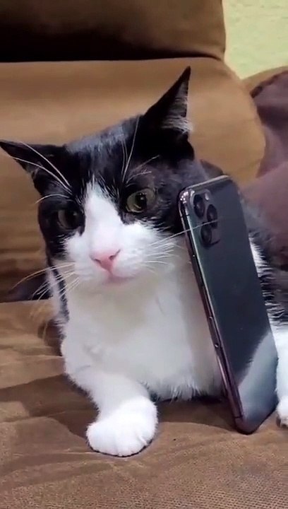 Calling with a friend