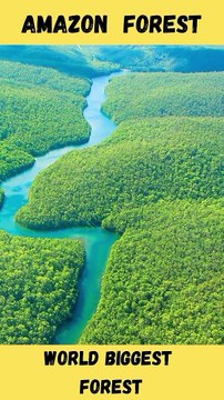 Top 6 Facts About Amazon RainForest || Amazon Forest