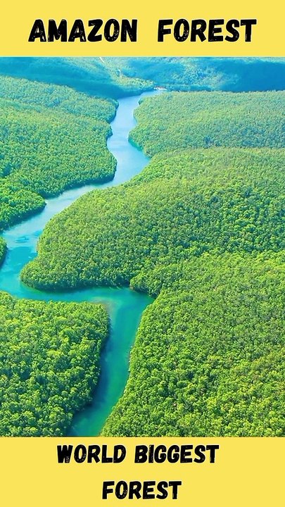 Top 6 Facts About Amazon RainForest  || Amazon Forest