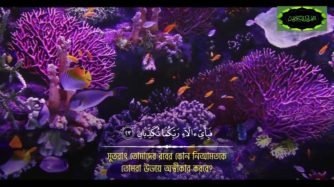 Mahmud Huzaifa تلاوة سورة الرحمن بصوت رائع للقارئ محمود حذيفة