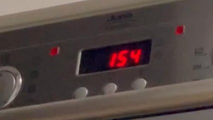 Love, Joy & Sleepless Nights: Woman documents first week of life with new Maltipoo