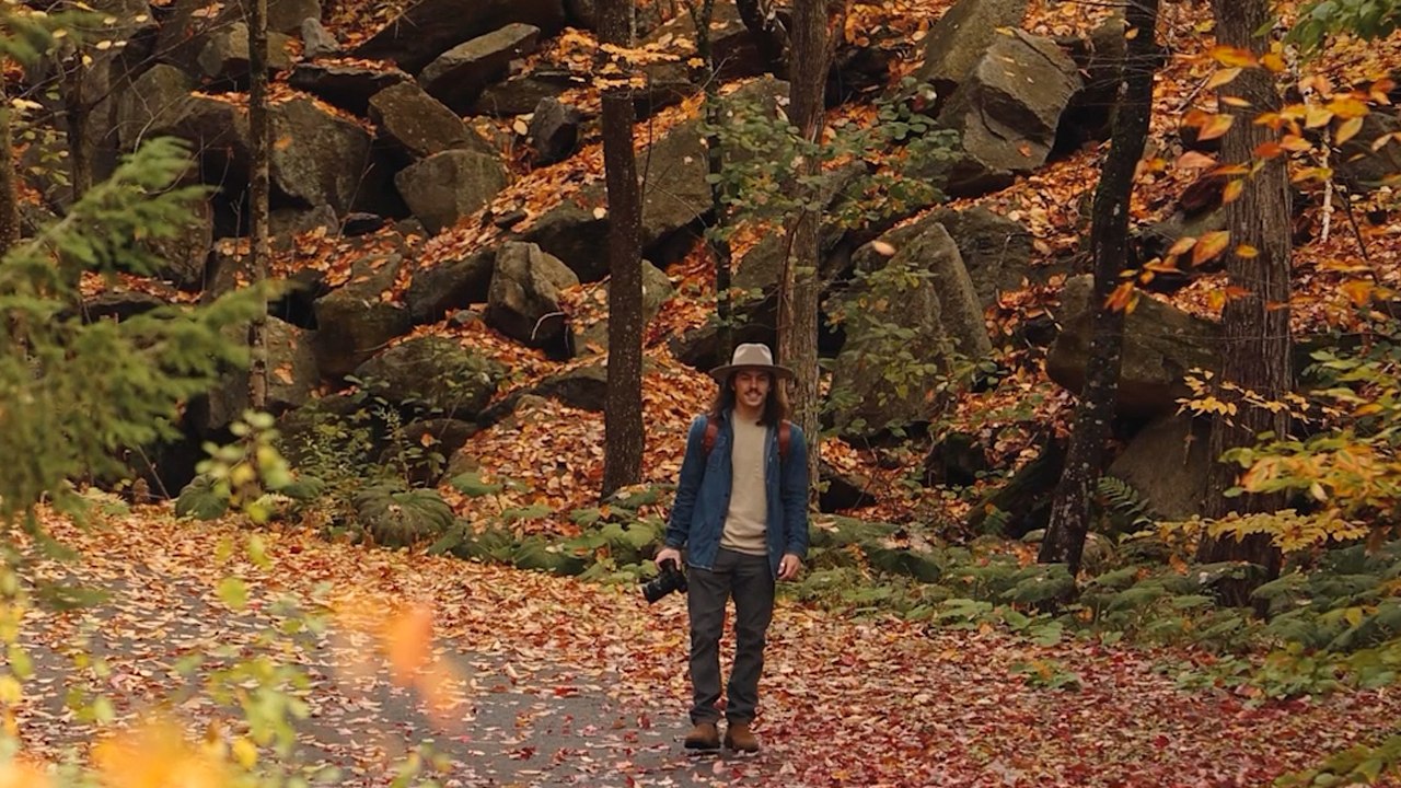 Photographer makes an adorable new 'furiend' while shooting fall foliage